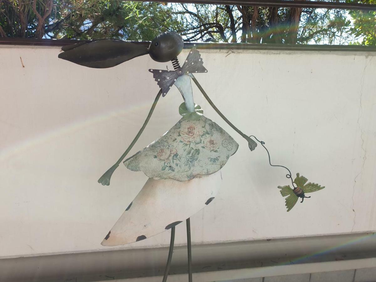 Domus Rose Rooms 볼차노 외부 사진